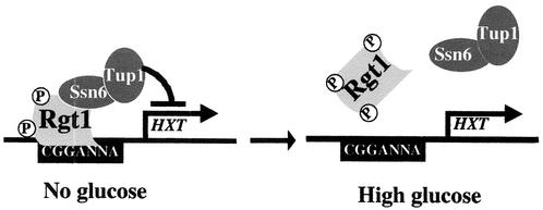 FIG. 11.