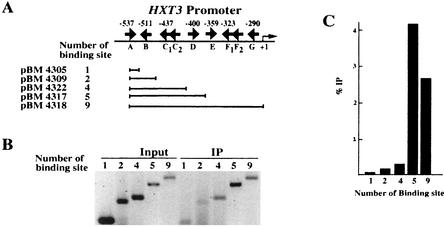 FIG. 5.