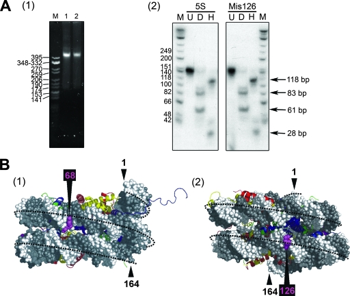 FIG. 6.