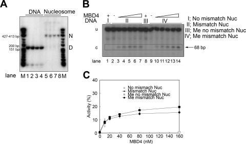 FIG. 8.