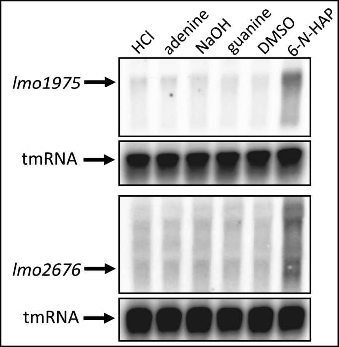 Figure 6.