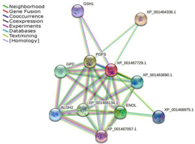 Figure 4