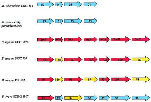 FIG. 2.