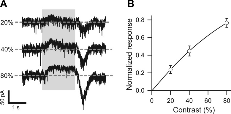 Fig. 7.