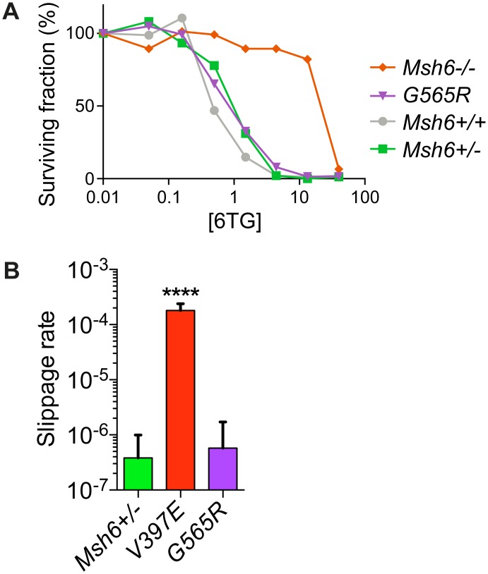 Fig 7