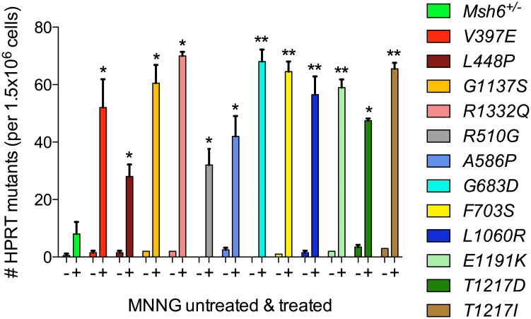 Fig 6