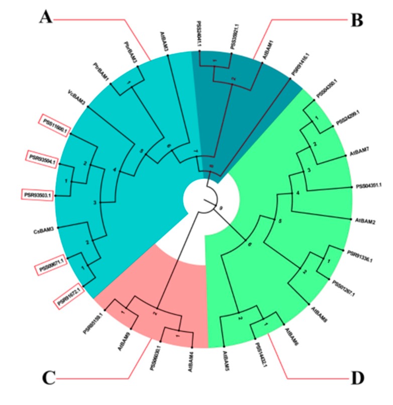 Figure 6