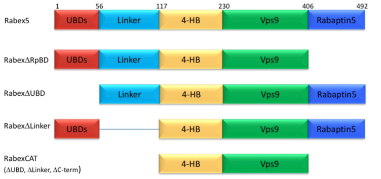 Figure 2.