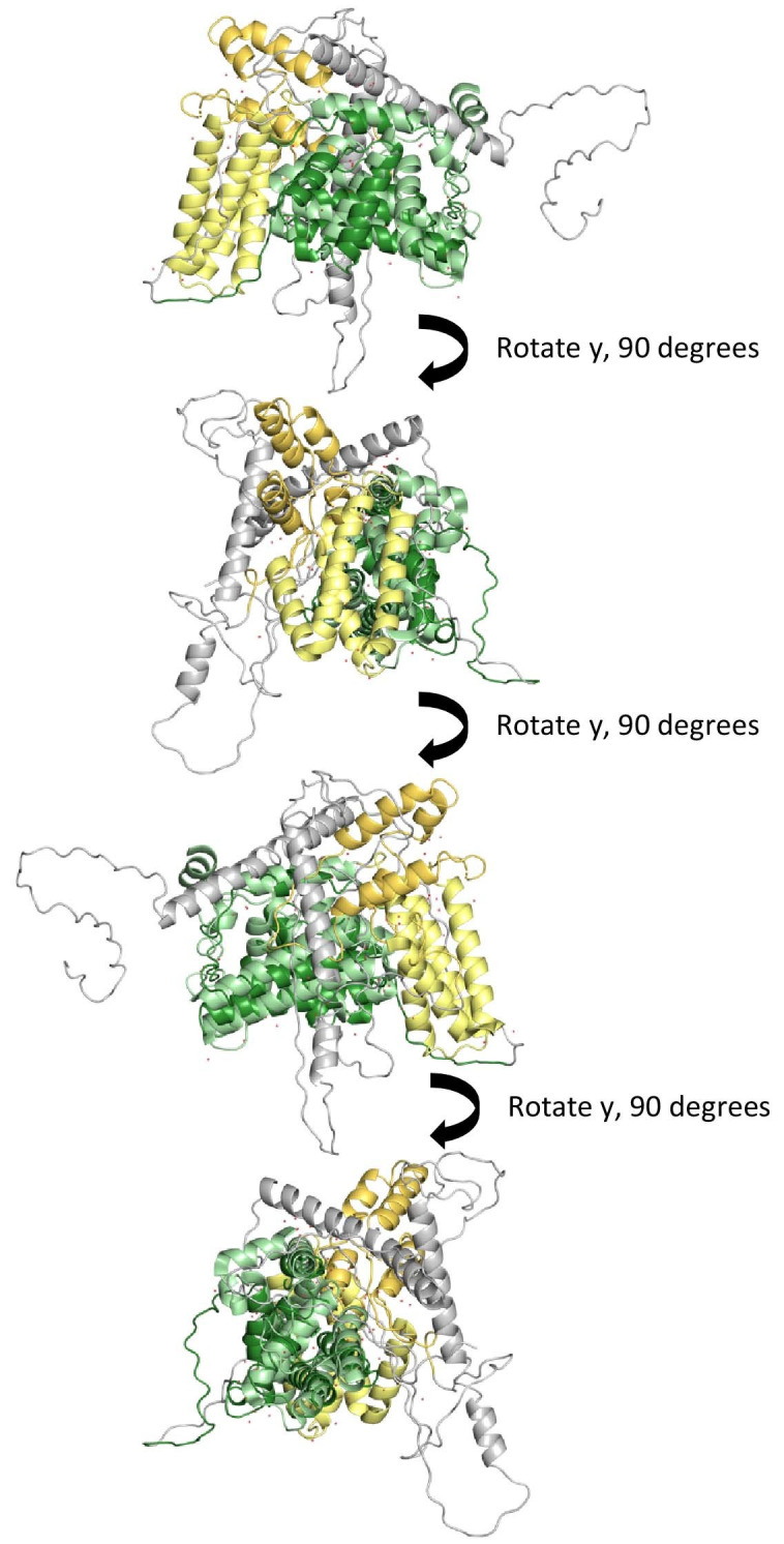 Figure 1—figure supplement 1.