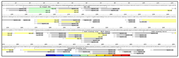 Figure 6—figure supplement 1.