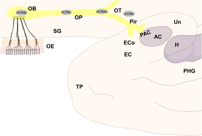 Fig. 2