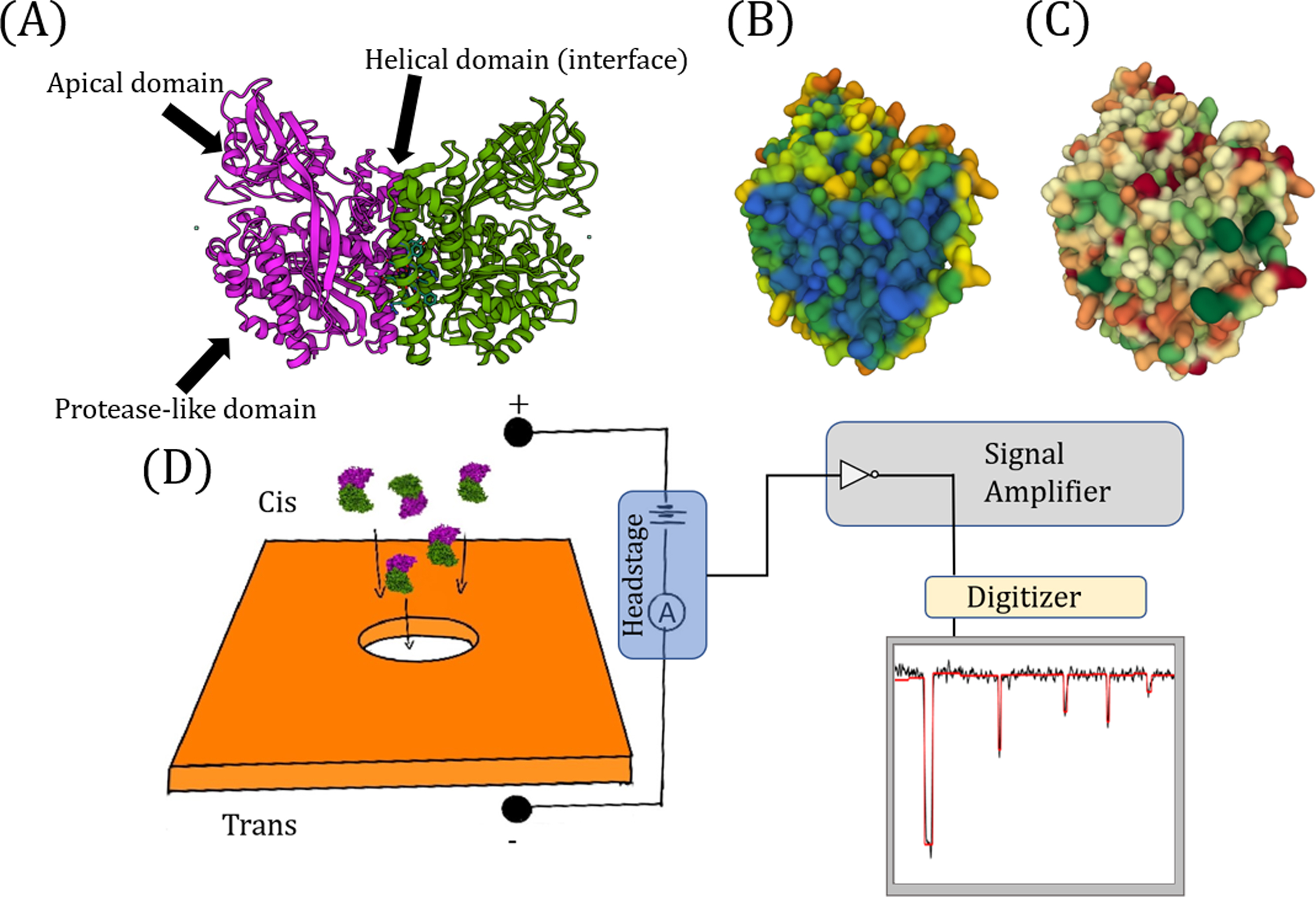 Figure 1.