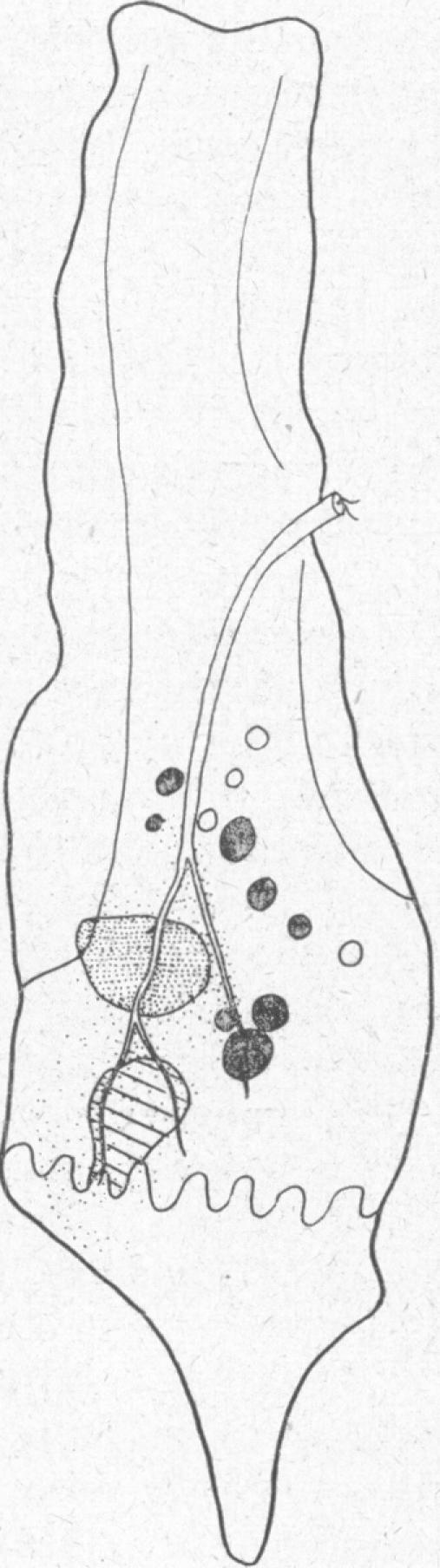 FIG. 8