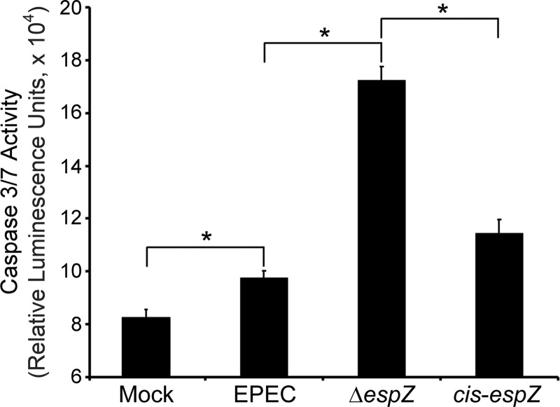 Fig 5