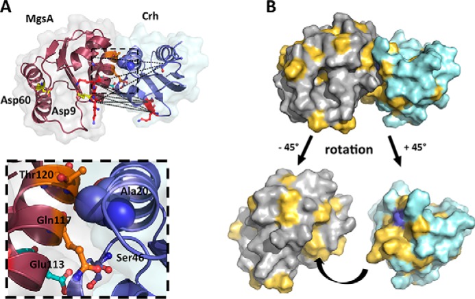 Figure 7.