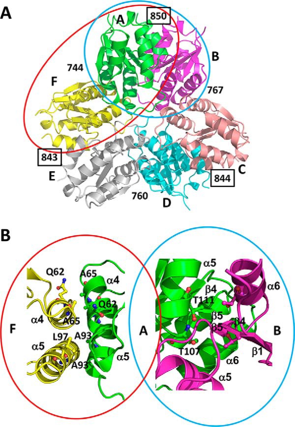 Figure 4.