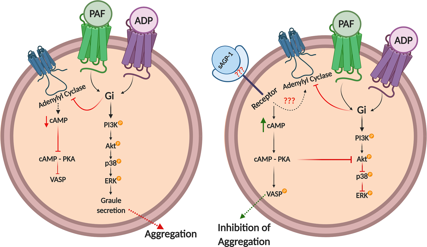 Fig. 8: