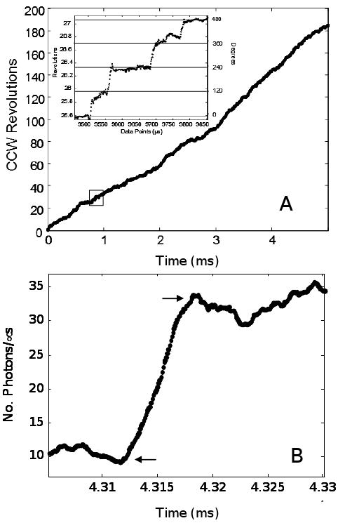 Fig. 3