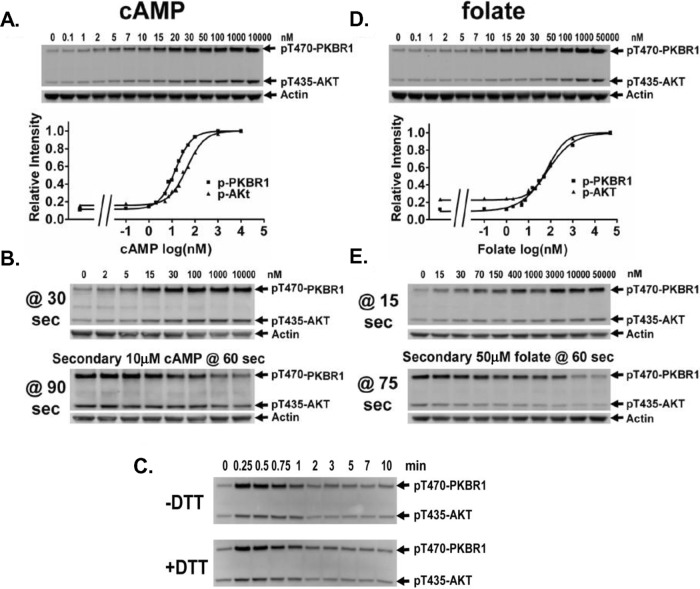 FIGURE 3: