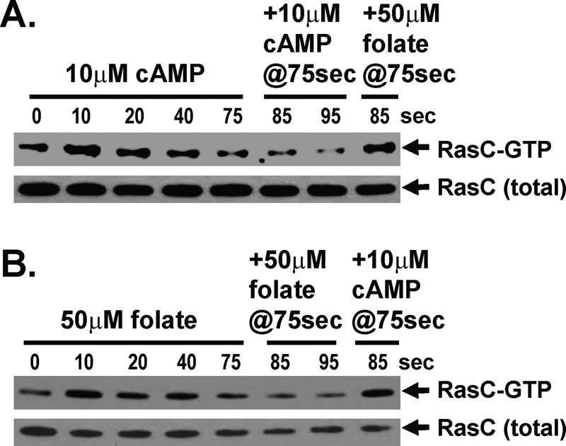 FIGURE 6: