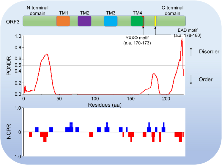Figure 5