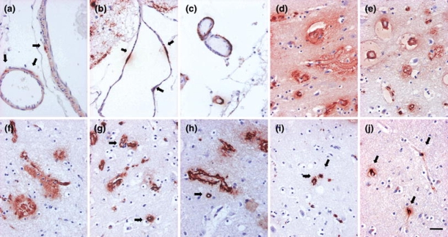 Fig. 4