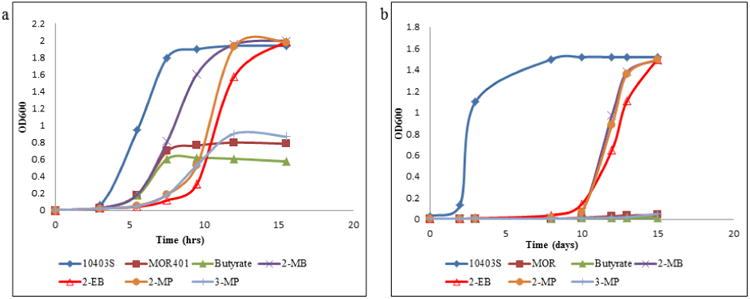 Fig.1