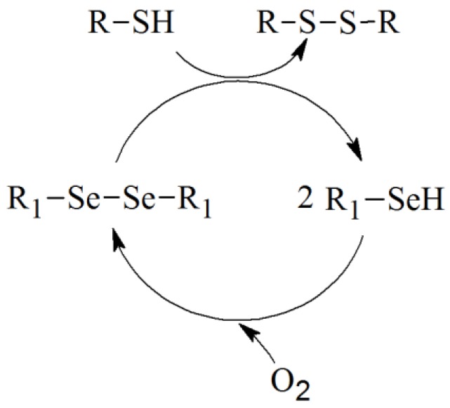 Scheme 2