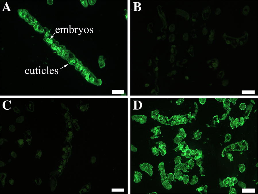 Figure 6