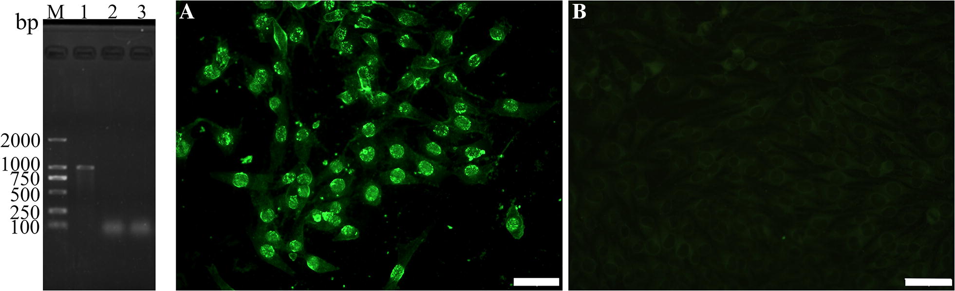 Figure 1