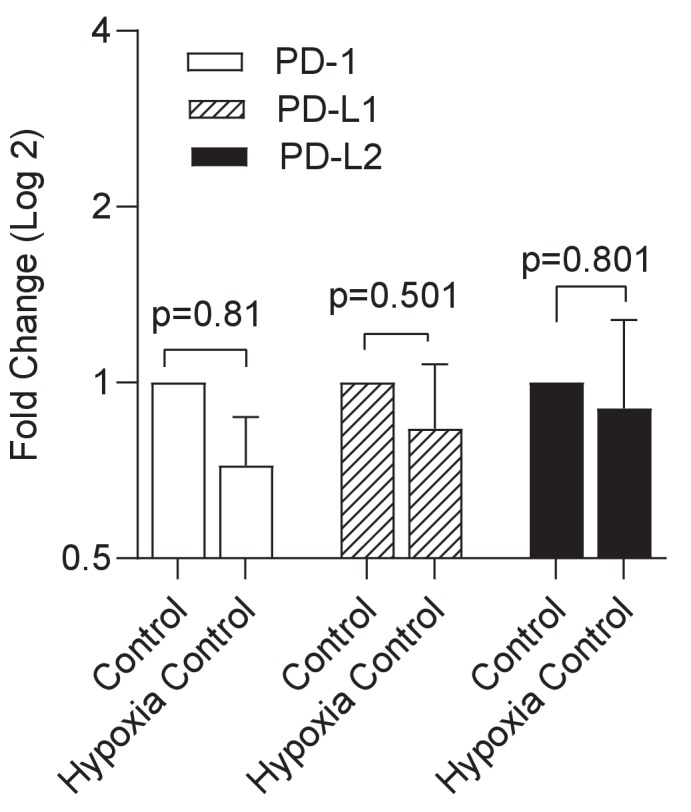 Figure 2—figure supplement 1.