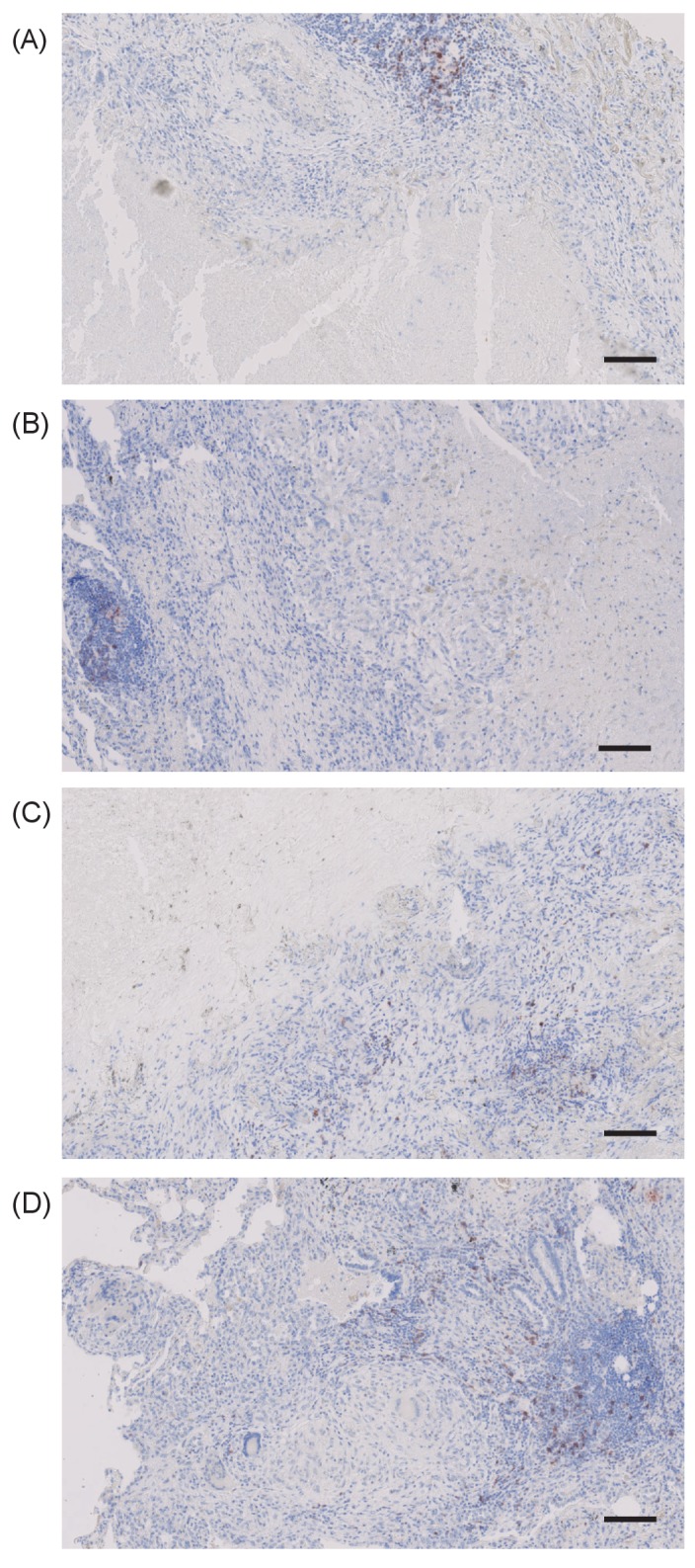 Figure 1—figure supplement 2.