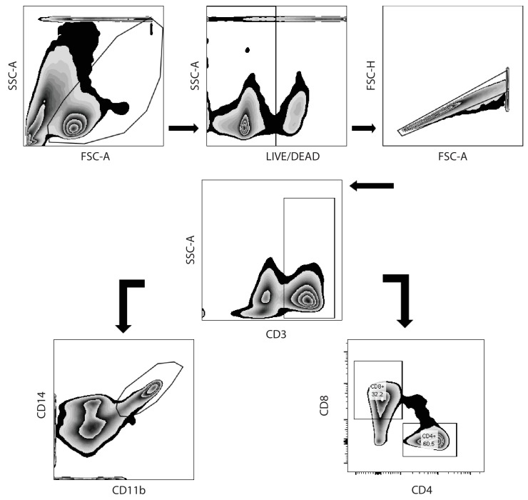 Figure 5—figure supplement 4.