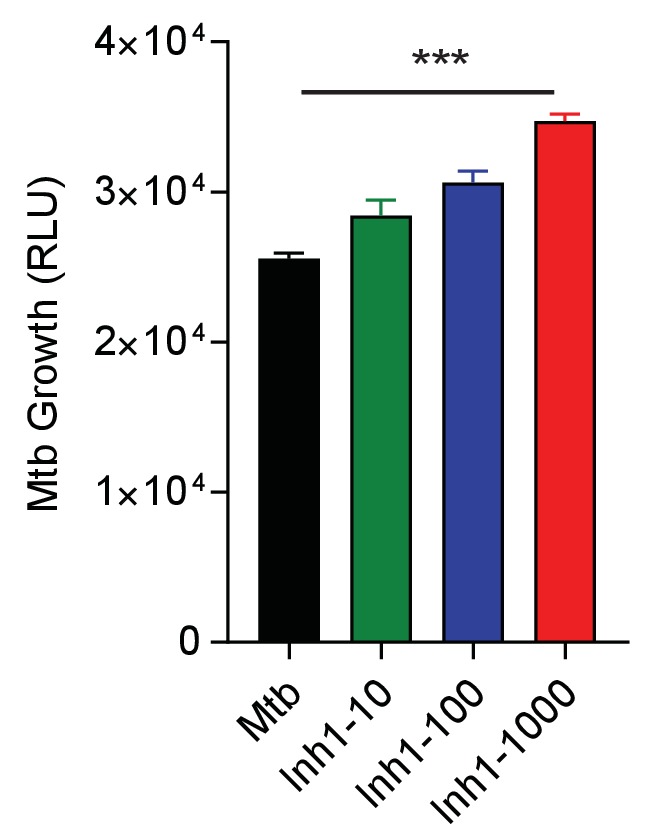 Figure 3—figure supplement 1.