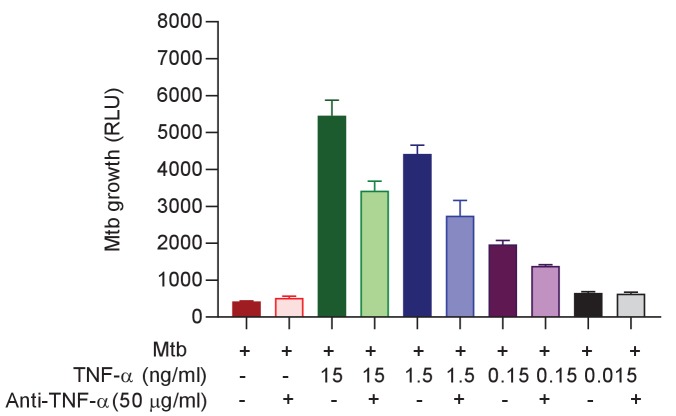 Figure 5—figure supplement 2.