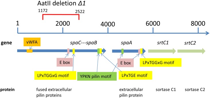 Fig 2