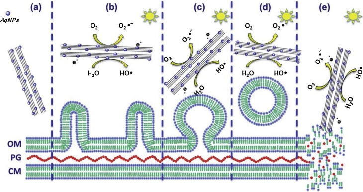 Fig. 7