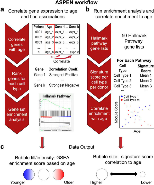 Figure 2 |