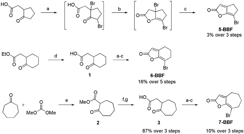 Scheme 1.