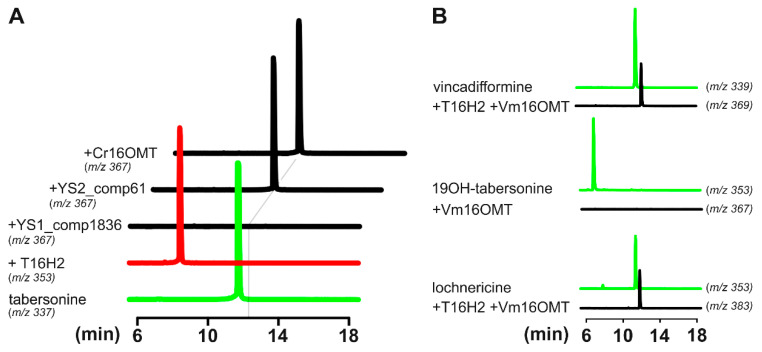 Figure 7