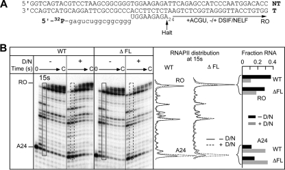 Fig. 9.