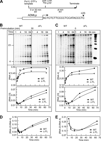 Fig. 10.