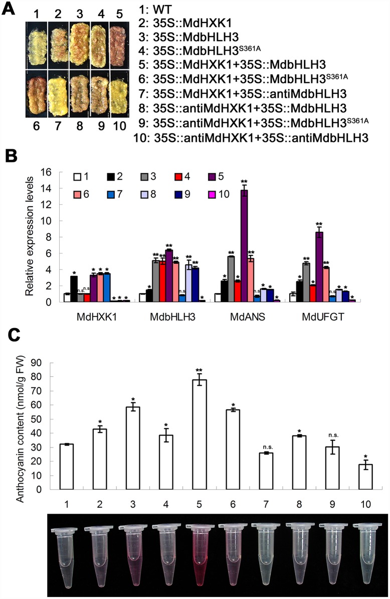 Fig 6