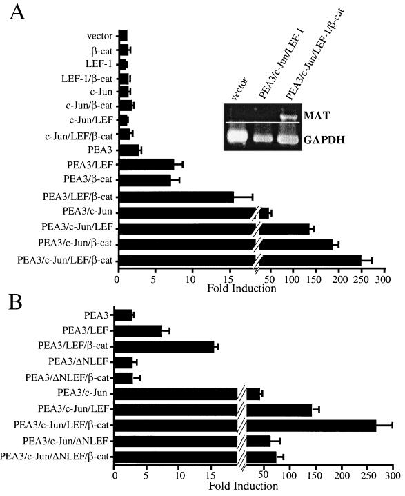 FIG. 3