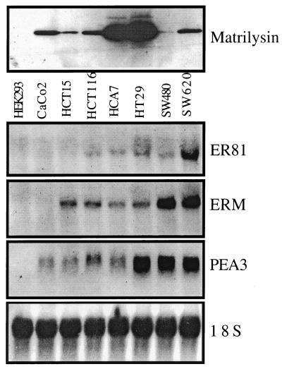 FIG. 8