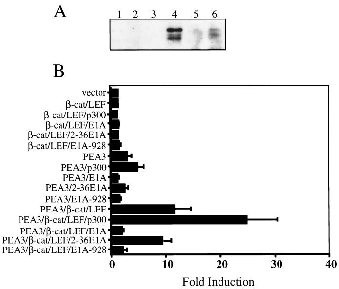 FIG. 6