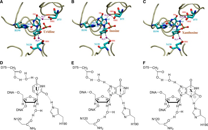 FIGURE 10.