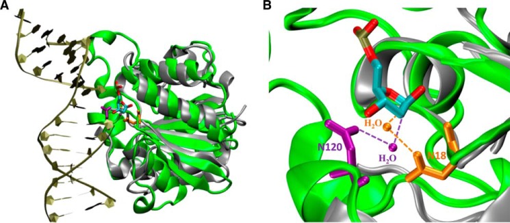 FIGURE 11.