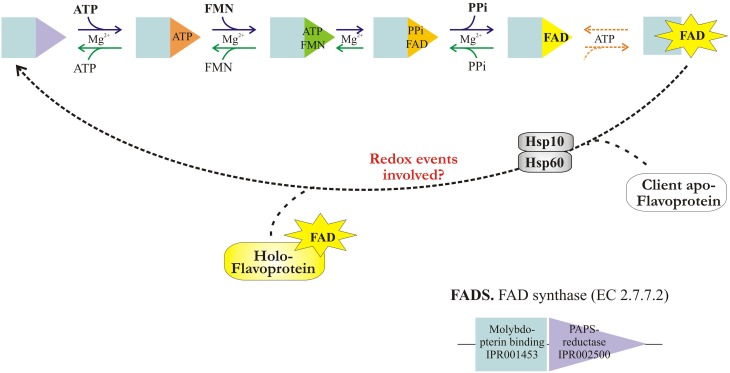 Figure 9