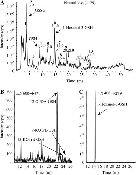 Figure 3.